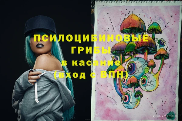 2c-b Козловка