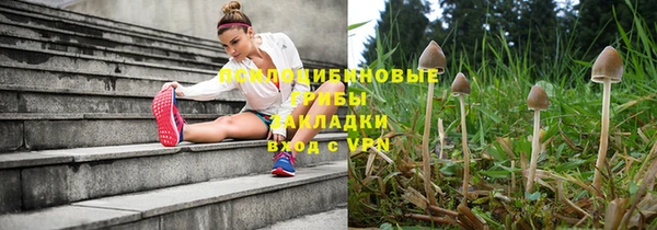 бошки Инсар