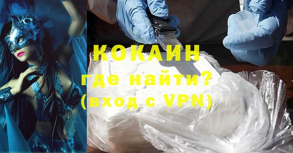 стафф Каменногорск
