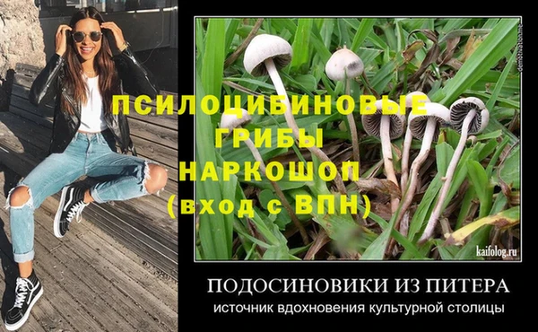 гашик Заводоуковск