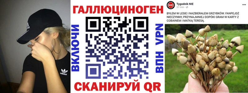 Купить  Кириши  Псилоцибиновые грибы мицелий 